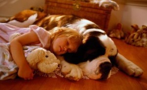 10 mejores razas de perros para niños