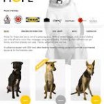 Perros que puede adoptar en Home for Hope