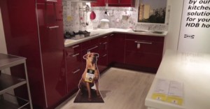 Perro en cocina Ikea