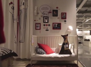 Ikea apoya la adopción de mascotas