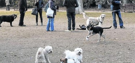 Barcelona multará con 1.500€ a los propietarios que no lleven atados a sus perros